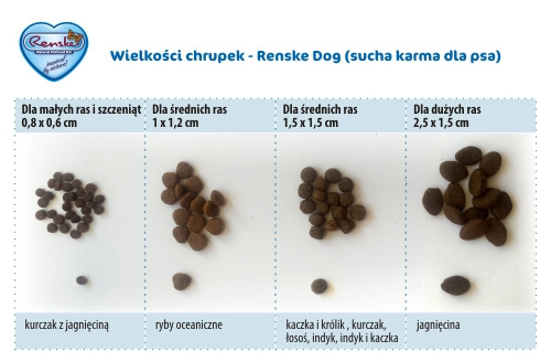 Renske Senior Dog fresh turkey - świeży indyk bez zbóż (600 g)