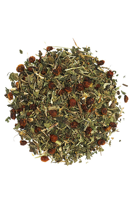 DOG'S LOVE Super Power - zioła dla psa z jeżówką wspierające metabolizm i układ odpornościowy (110g)