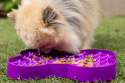 Miska spowalniająca jedzenie dla psa SLODOG SMALL różowa