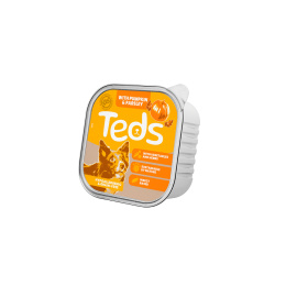 TEDS Insect Pumpkin – karma z owadów, dynią i pietruszką (150g)