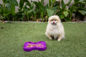 Miska spowalniająca jedzenie dla psa SLODOG SMALL fioletowa