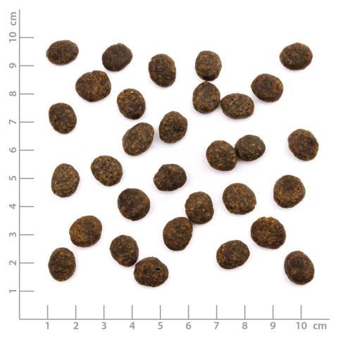 WILDES LAND CAT Forelle Lachs - pstrąg i łosoś z warzywami i ziołami (400g)