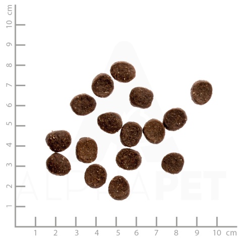 WILDES LAND CAT Huhn - kurczak z warzywami i ziołami (1,2kg)