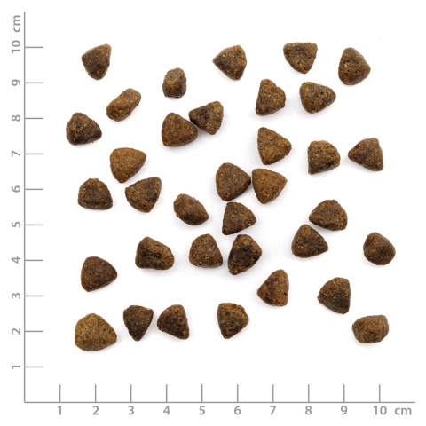 WILDES LAND CAT Huhn sterilised - karma dla sterylizowanych kotów (400g)