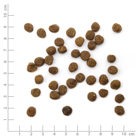 WILDES LAND CAT Junior Huhn – kurczak z warzywami i ziołami dla kociąt (1,2kg)