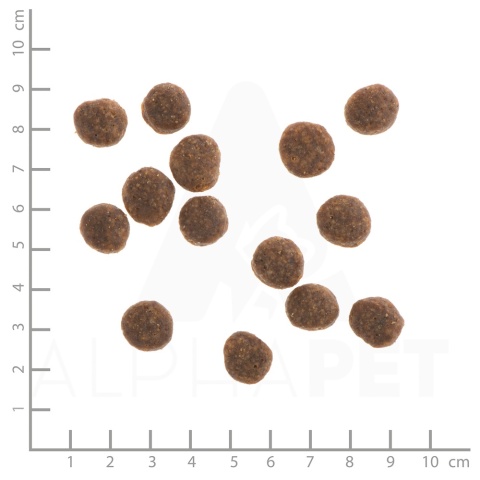 WILDES LAND DOG Ente - kaczka z ziemniakami i ziołami (1kg)