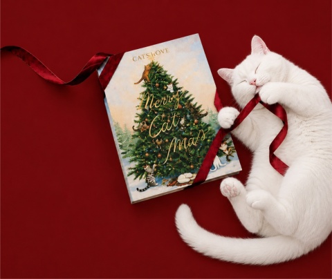 CAT'S LOVE kalendarz adwentowy dla kota z przysmakami liofilizowanymi edycja 2026 (48g)