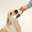DOG'S LOVE Smart Chew Collagen Maxi - gryzaki kolagenowe (2 szt.x65g)