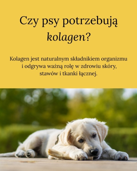 DOG'S LOVE Smart Chew Collagen Maxi - gryzaki kolagenowe (2 szt.x65g)