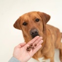DOG'S LOVE Training Treats Ente - przysmaki treningowe z mięsa kaczki (150g)