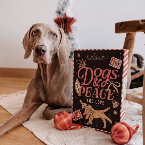 DOG'S LOVE kalendarz adwentowy dla psa (168g)