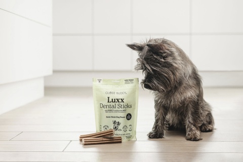 GLOBE BUDDY Luxx Dental Sticks - patyczki dentystyczne dla psa (250g)