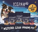 ICEPAW Christmas Box - świąteczny box dla psa
