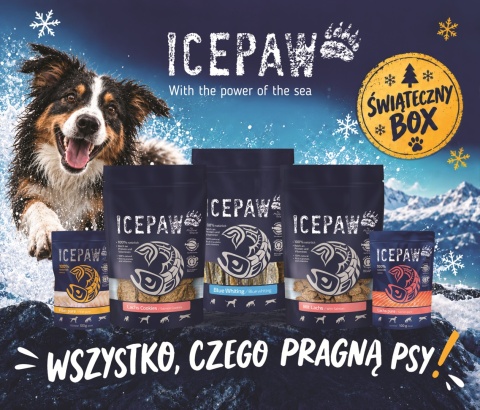ICEPAW Christmas Box - świąteczny box dla psa