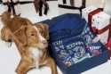 ICEPAW Christmas Box - świąteczny box dla psa