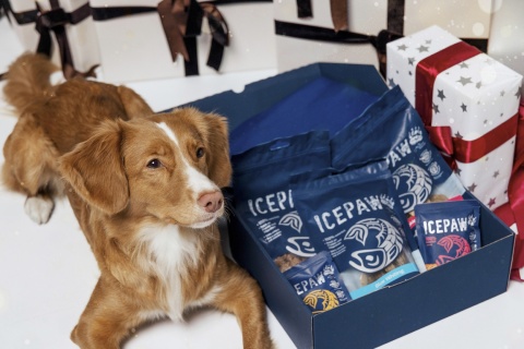 ICEPAW Christmas Box - świąteczny box dla psa