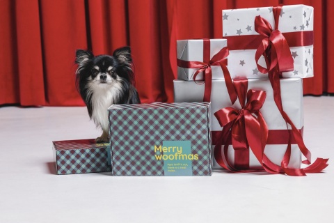RAW for PAW Merry Woofmas Box - świąteczny box dla psa z liofilizowanymi przysmakami