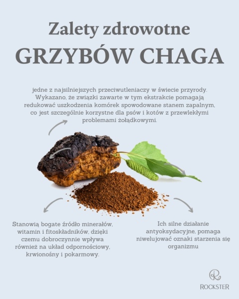 ROCKSTER SOUP Chickenrella - ekologiczna zupa z kurczaka (85g)