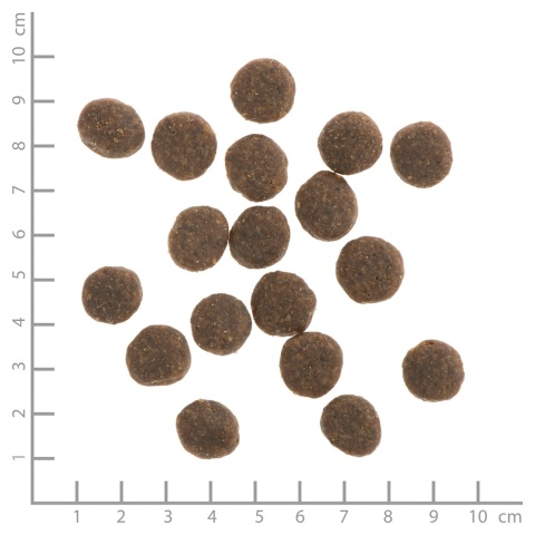 WILDES LAND DOG Forelle Lachs- pstrąg i łosoś z ziemniakami i ziołami (12kg)