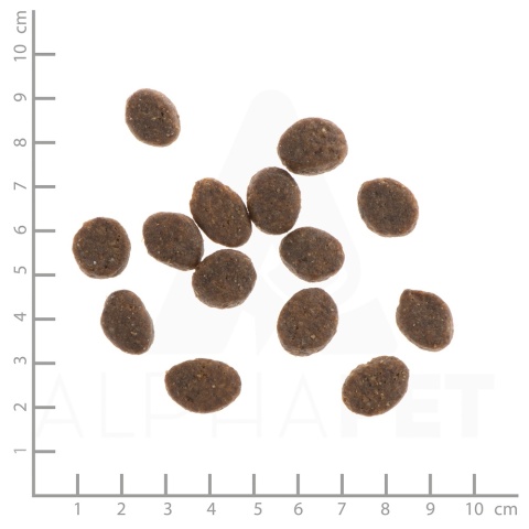 WILDES LAND DOG Lamm - jagnięcina z ryżem i ziołami (1kg)