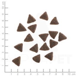 WILDES LAND DOG Pferd - konina z ziemniakami i ziołami (70g)