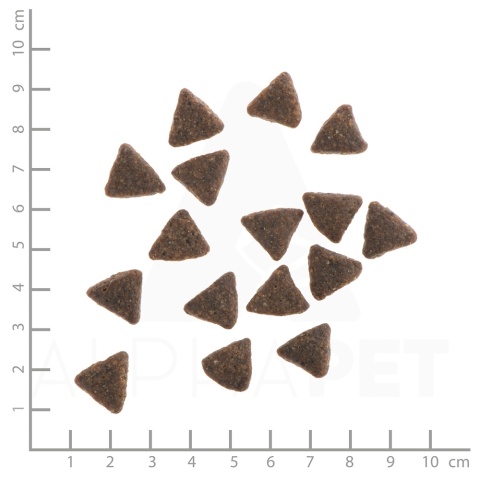 WILDES LAND DOG Pferd - konina z ziemniakami i ziołami (70g)