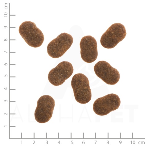 WILDES LAND DOG Rind - wołowina z ziemniakami i ziołami (1kg)