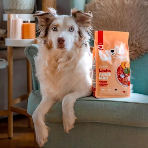 WOW DOG MINI Lachs - z łososiem, szpinakiem i batatami dla psów małych ras (1 kg)
