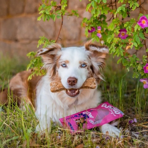 WOW DOG Natural Chew Bone Hirsch - kość do żucia ze skóry jelenia (80g)