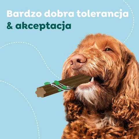 WOW DOG Natural Dentals Midi - gryzaki dentystyczne dla psa (195g)