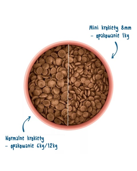 WOW DOG Rind - wołowina z jabłkiem i buraczkami (12kg)