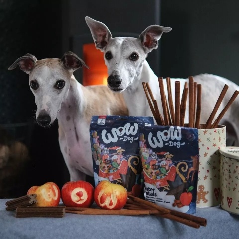 WOW Dog Winter Dentals Sticks – świąteczne gryzaki dla psa (250g)