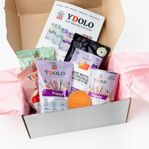 YDOLO Puppy Box - box testowy dla szczeniąt