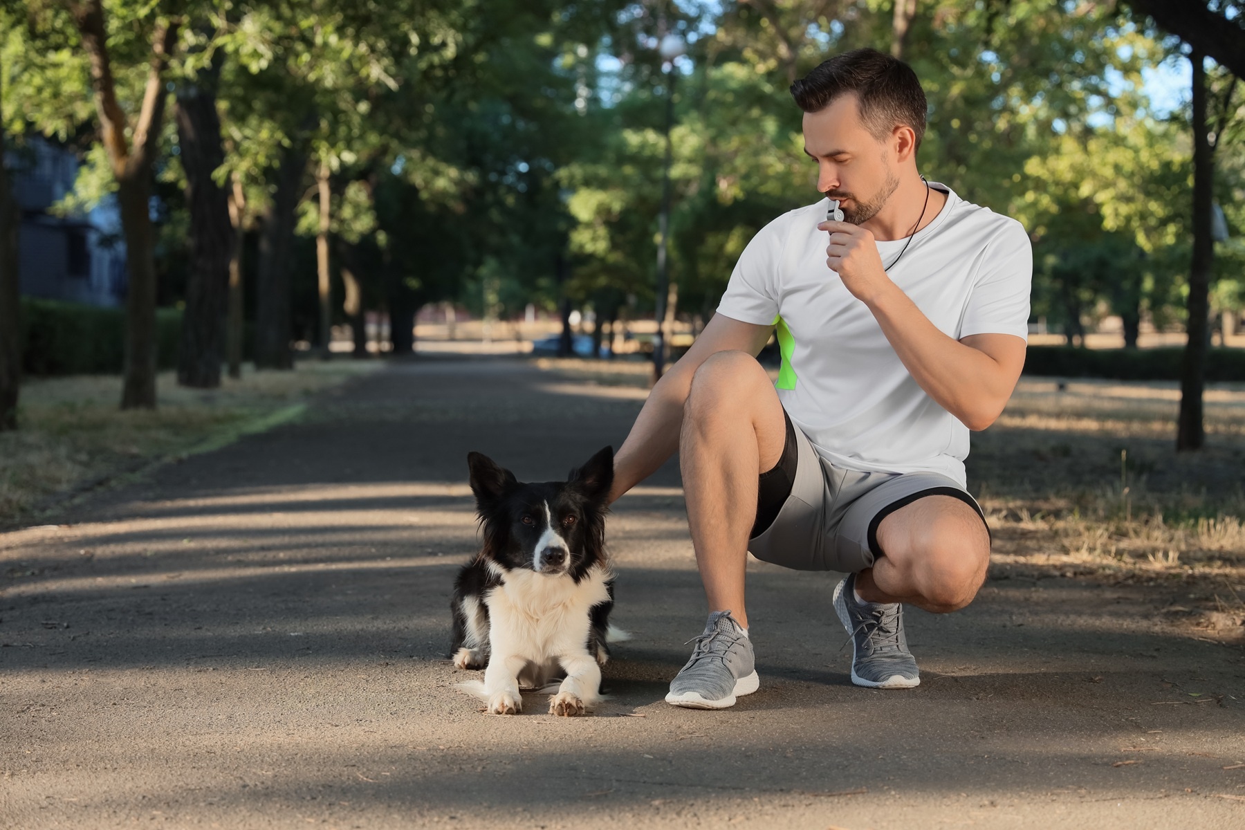 Gwizdek dla psa – kiedy warto go używać, czy jest bezpieczny i jak wprowadzić go do treningu