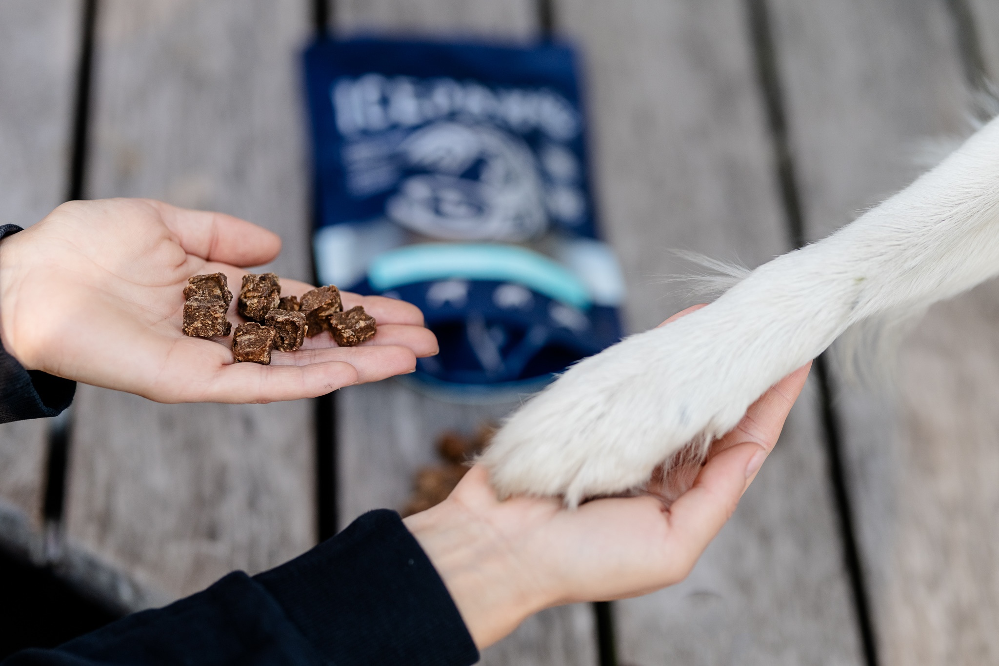 Smakołyki dla psa – jak wybierać zdrowe przekąski i używać ich w szkoleniu psa?