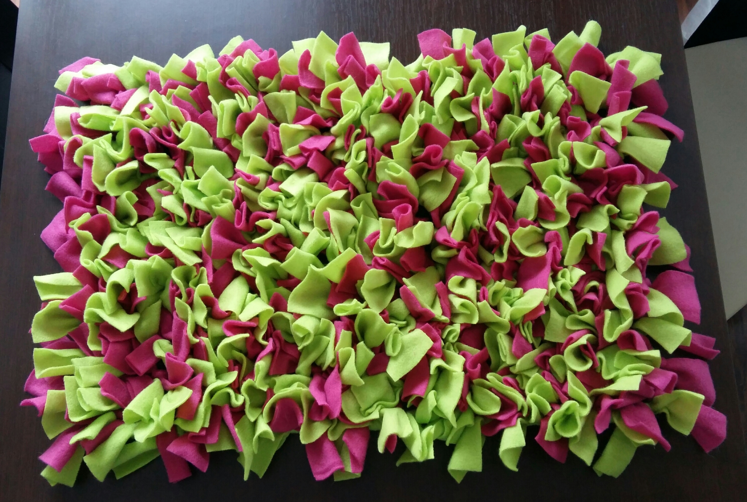 Jak zrobić matę węchową dla psa?